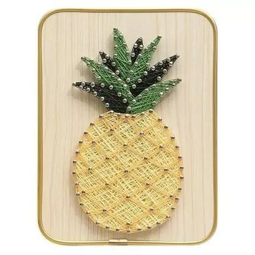 cumpără Set de creație miscellaneous DHBC28013 Set String Art 15x20 Ananas în Chișinău 