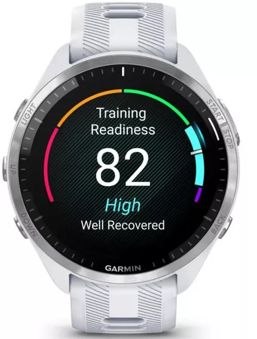 cumpără Ceas inteligent Garmin Forerunner 965 Whitestone/Powder Gray (010-02809-11) în Chișinău 