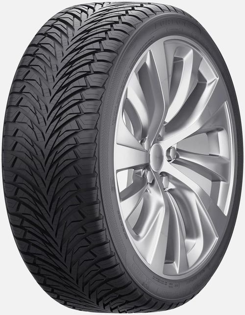 купить Шина Fortune 225/50 R17 98W FSR-401 m+s в Кишинёве 