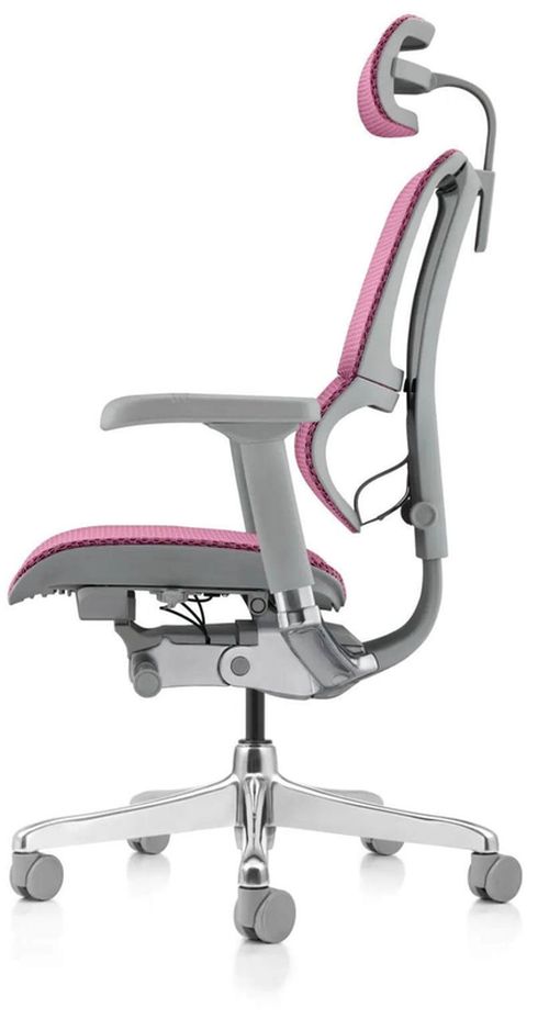 купить Офисное кресло ART Mirus IOO Elite 2 Pink T-168-B5 IOOE2-AG-HAM-5D-L в Кишинёве 