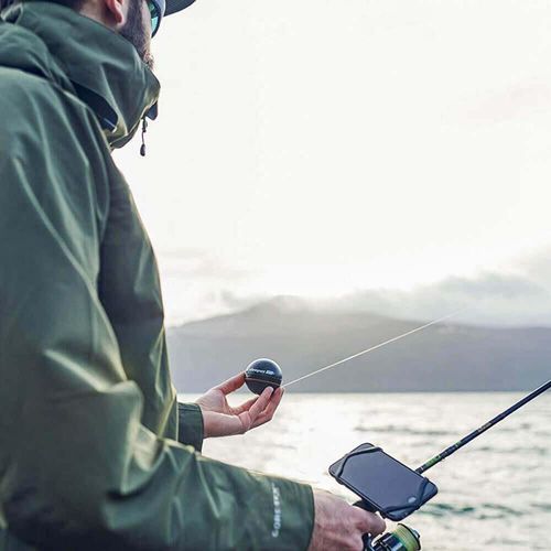 купить Сонар Deeper Smartphone mount в Кишинёве 