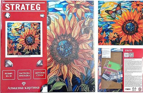 cumpără Tablou pe numere Strateg 57343 Pictura cu diamant 30x30cm Raza de soare în Chișinău 