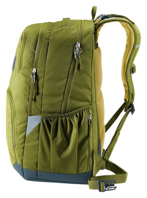 купить Детский рюкзак Deuter Cotogy cactus-kelp (3831026 1219 0) в Кишинёве 