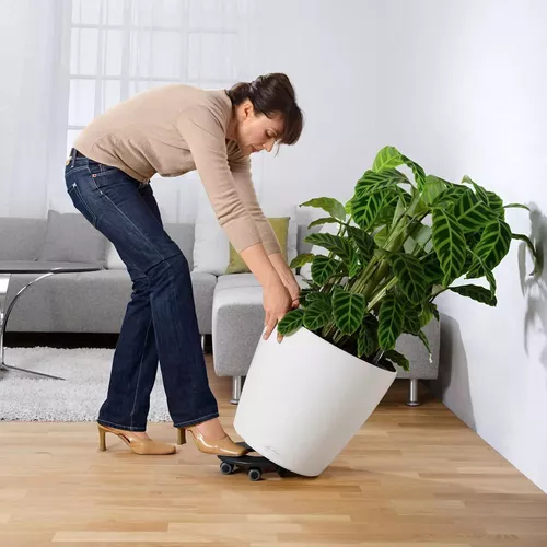 cumpără Ghiveci pentru flori Lechuza Classico Color 60, White în Chișinău 