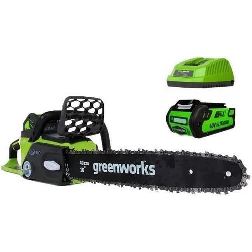cumpără Fierăstrău Greenworks GD40CS40 20077UA (cu 2 acumulatori) în Chișinău 