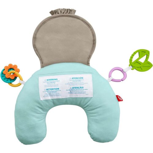 купить Музыкальная игрушка Fisher Price GRR01 Jucărie educațională de pluș pentru jocul pe burtică Leneșul в Кишинёве 