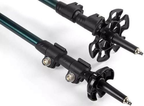 cumpără Bețe pentru trekking Skoda 6U0087632 Палки трекинговые în Chișinău 