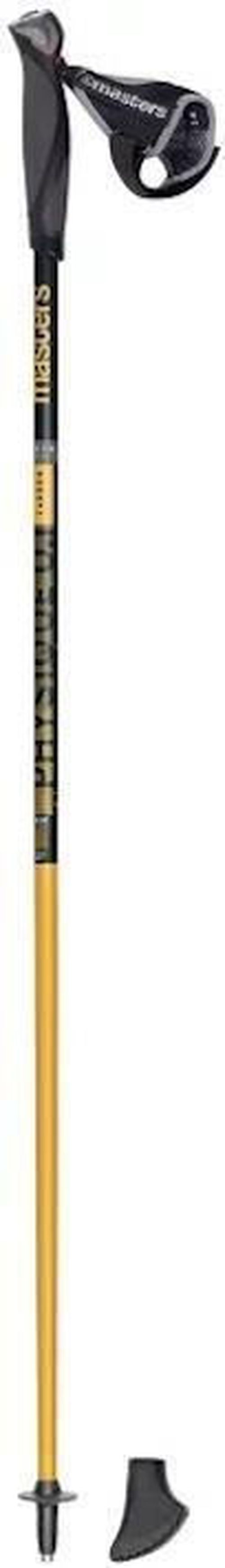 купить Треккинговые палки Masters NW PHYSIQUE 0.1 Carbon 110cm (01N0319 110) в Кишинёве 