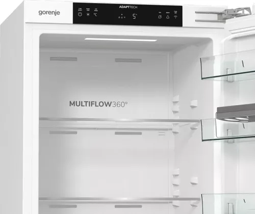 cumpără Frigider încorporabil Gorenje RI517E62WF în Chișinău 