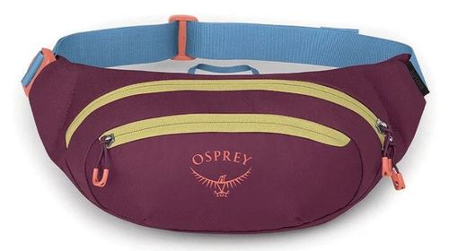 купить Поясная сумка Osprey Daylite Waist moody burgundy hip (810145598719) в Кишинёве 
