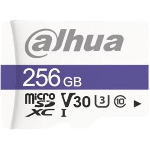 cumpără Card de memorie flash Dahua DHI-TF-C100/256GB MicroSD în Chișinău 