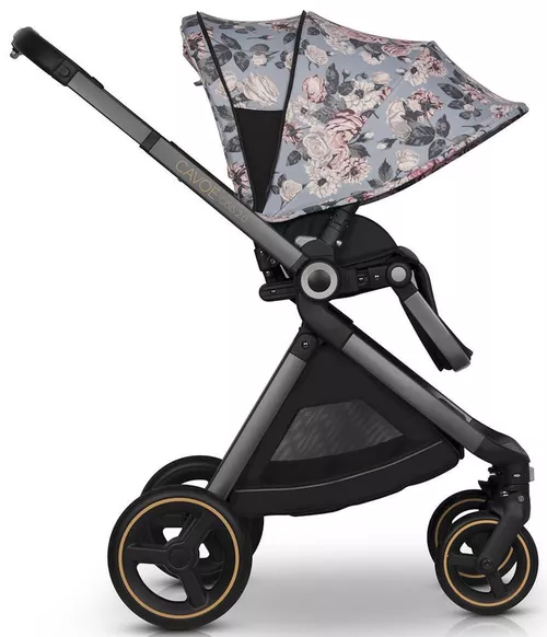 купить Детская коляска Cavoe Osis Gondola Bouquet в Кишинёве 