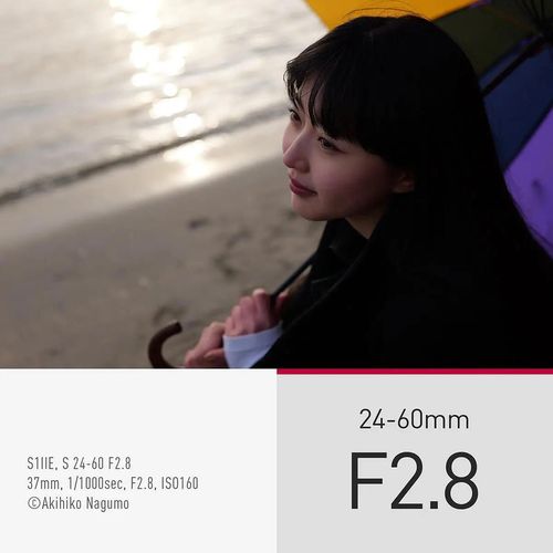 cumpără Obiectiv Panasonic S-E2460E în Chișinău 