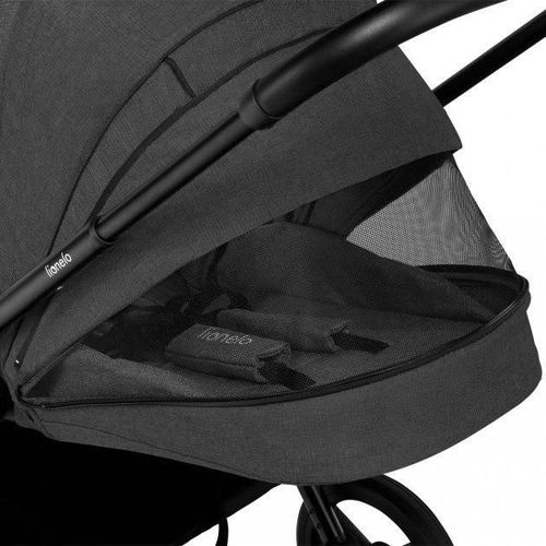 купить Детская коляска Lionelo Mika 2in1 Grey Graphite в Кишинёве 