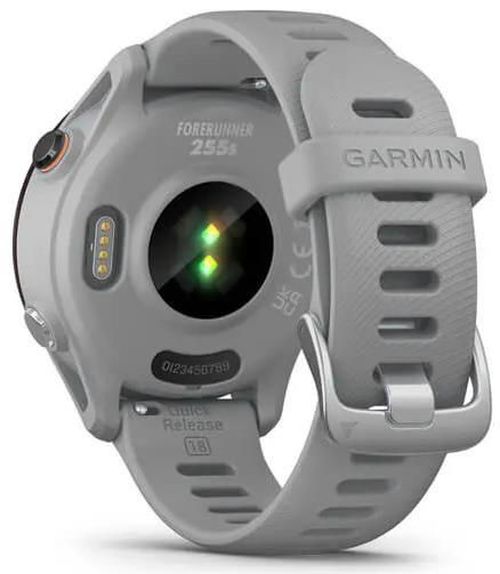 купить Смарт часы Garmin Forerunner 255S Powder Grey (010-02641-12) в Кишинёве 