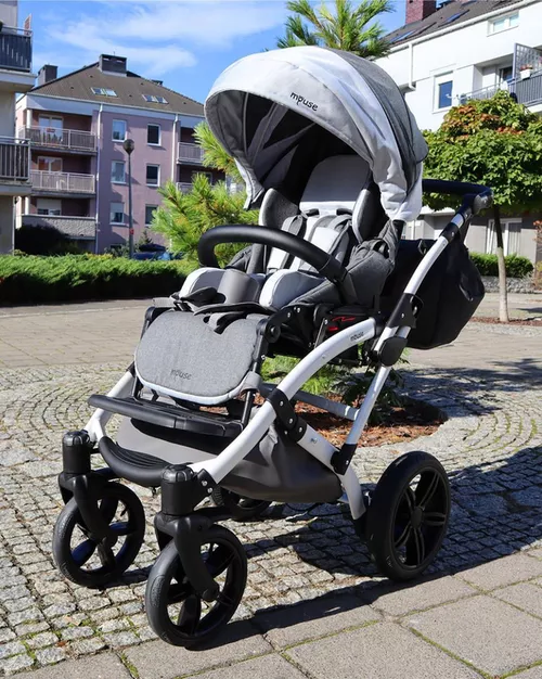 купить Инвалидная коляска MyWam Mouse Standart (gray) AK00956/AK00960 в Кишинёве 