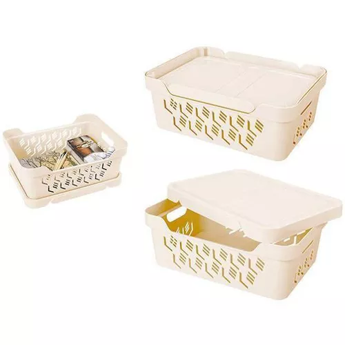 купить Короб для хранения Бытпласт 45730 Econova Deluxe 38x28x14cm в Кишинёве 