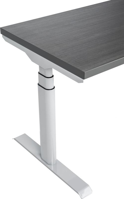 cumpără Masă pentru calculator CUSTÓ 100.02.0122 FlexiDesk Plus în Chișinău 