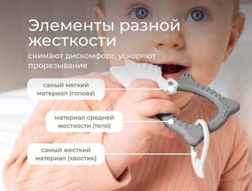 cumpără Iinel dentiție Roxy Kids RBT20032 FOX, серый în Chișinău 