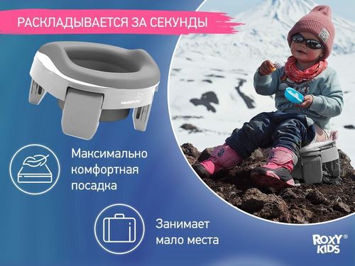 купить Детский горшок Roxy Kids HP-255GG HandyPotty 3в1 серый и вкладка серая в Кишинёве 