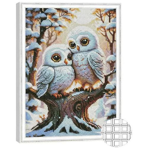 купить Картина по номерам Art Gallery QB206515 Mozaic cu diamante patrate 40x50cm Cuplu de bufnite in padurea de iarna в Кишинёве 