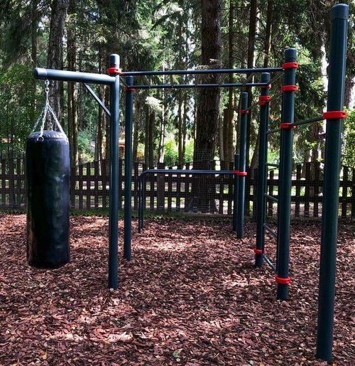 cumpără Echipament pentru exerciții în aer liber PlayPark WORKOUT C-049 în Chișinău 