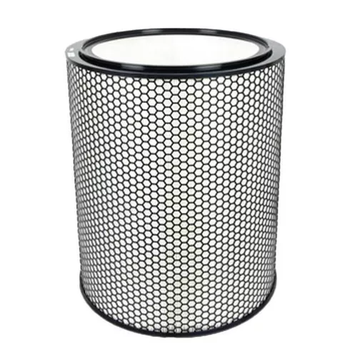 купить Фильтр для очистителя воздуха Dyson 360 HEPA H13-grade filter (972132) в Кишинёве 