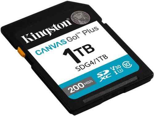 купить Флеш карта памяти SD Kingston SDG4/1TB в Кишинёве 