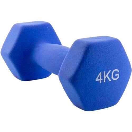 cumpără Ganteră 4Play Energo 4kg în Chișinău 