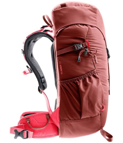 cumpără Rucsac turistic Deuter Climber 22 redwood-hibiscus în Chișinău 