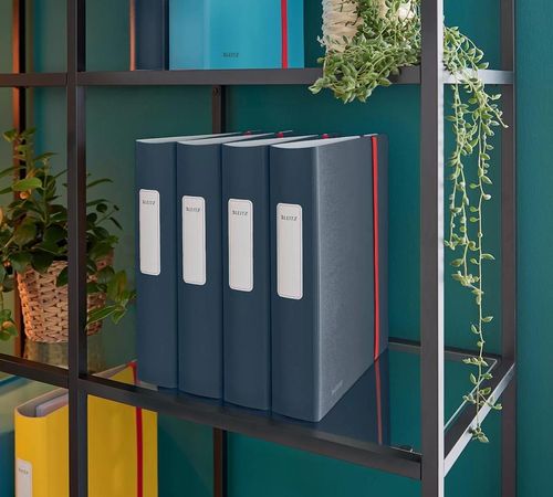 купить Папка для документов Leitz 10390089 Biblioraft Active Cosy А4, 65mm, gri в Кишинёве 