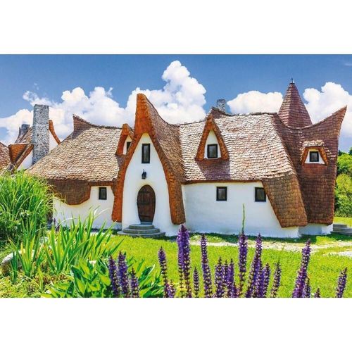 купить Головоломка Noriel NOR5250 Puzzle 1000 piese Castelul de lut в Кишинёве 