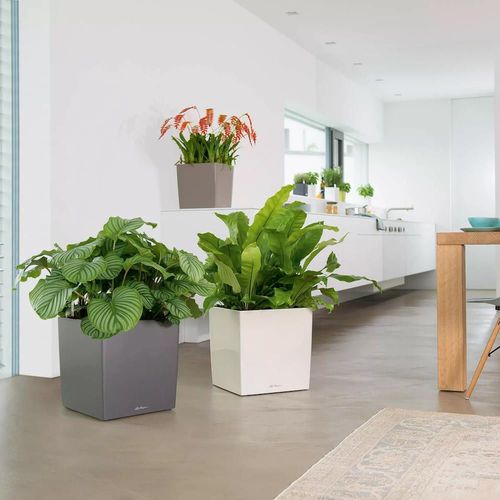 купить Цветочный горшок Lechuza Cube Premium 30, White в Кишинёве 