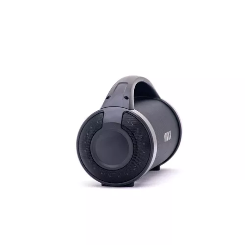 купить Колонка портативная Bluetooth Vivax BS-90 Black в Кишинёве 