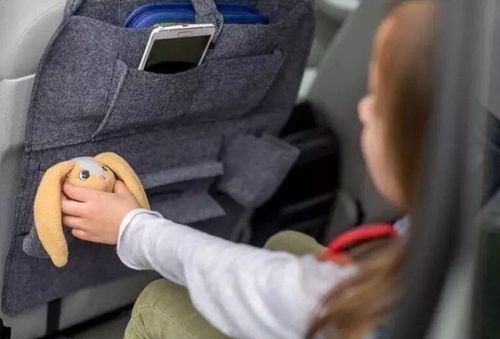 купить Аксессуар для автомобиля Lionelo Organizer (на спинку сиденья) в Кишинёве 