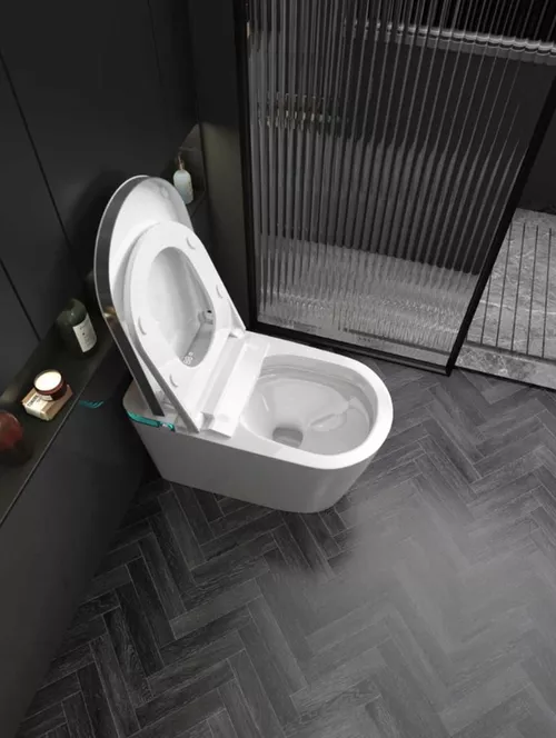 cumpără Vas WC iSink WC Inteligent, Alb (1305986) în Chișinău 