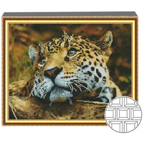 купить Картина по номерам Art Gallery QB203029 Mozaic cu diamante patrate 40x50cm Privire patrunzatoare de pradator в Кишинёве 