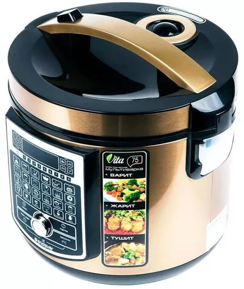 cumpără Multifierbător Endever Vita 75 în Chișinău 