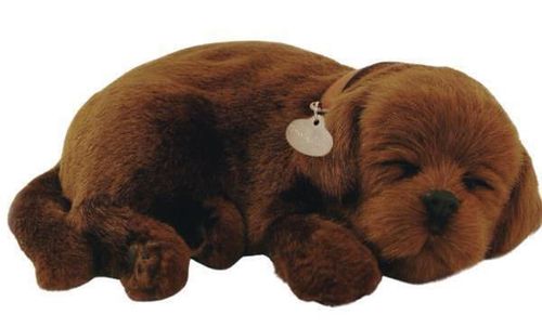 cumpără Jucărie Perfect Petzzz 91-13 Jucărie interactivă Labrador Ciocolatiu în Chișinău 