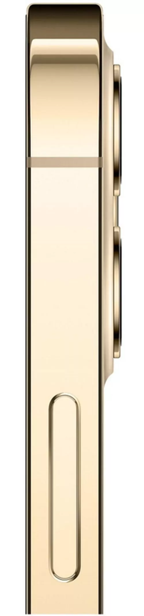 купить Смартфон Apple iPhone 12 Pro 512Gb Gold MGMW3 в Кишинёве 