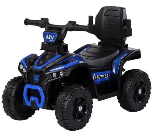 купить Толокар Chipolino ROCATVH02504BL ATV с ручкой blue в Кишинёве 