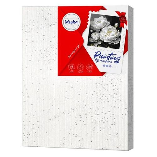 cumpără Tablou pe numere Ideyka KHO3237 40x40cm Eco, Frumusetea ireprosabila cu vopsele metalic în Chișinău 