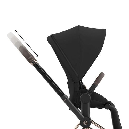 cumpără Сărucior pentru copii Cybex 521002711 Carucior Priam JS RBAS Wings Black în Chișinău 