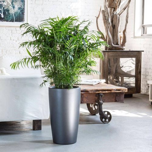 купить Цветочный горшок Lechuza Rondo Premium 40 All In One Silver в Кишинёве 