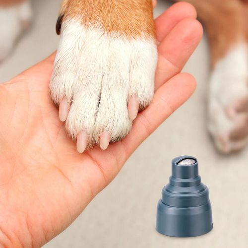 купить Товар для груминга Ufesa Pet grooming & vacuum PetBuddy Groom в Кишинёве 