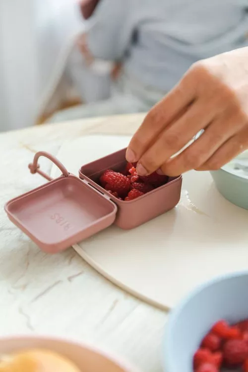 cumpără Suzetă BIBS 4200245 Cutie multifunctionala Vanilla pentru depozitare suzete în Chișinău 