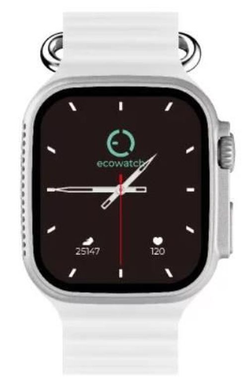 купить Фитнес-трекер Max Com Ecowatch 2, Silver в Кишинёве 