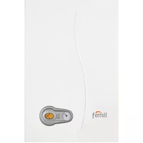 купить Газовый котёл Ferroli BLUEHELIX TECH 25 A M в Кишинёве 