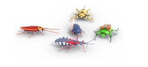 cumpără Jucărie miscellaneous HEX 6071530 Nano Real Bugs, набор из 5шт. în Chișinău 