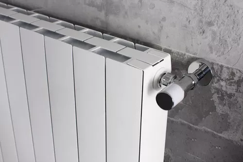 купить Радиатор Radiatori 2000 Design Plus Evo 800 (1elem.) white в Кишинёве 